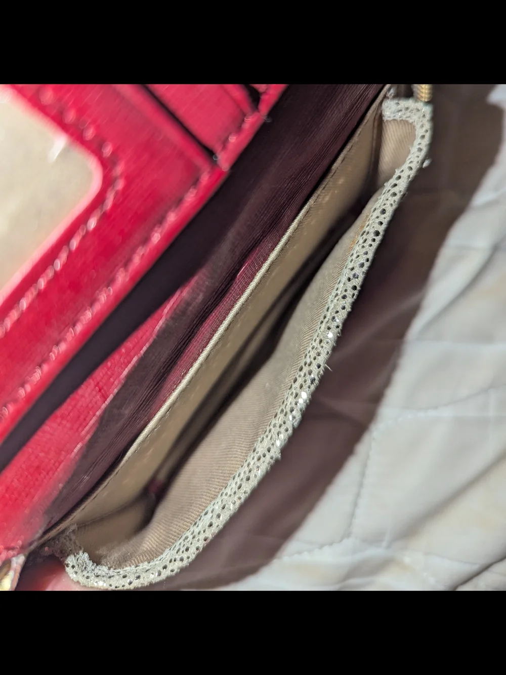 Fossil Women's Metallic Taupe Zip Wallet